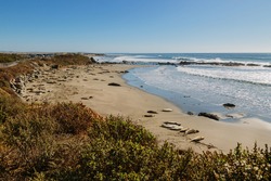 Panoramic view of the Elephant Seal Vista Point, California State Park, USA