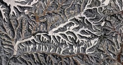 the Enchanted Forest, tribute to Picasso, abstract photography of the Spain fields from the air, aerial view, representation of human labor camps, abstract art, 