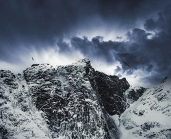 Moody landscape of Snowy mountain peak with dark sky storm and bird flying on Fjord
