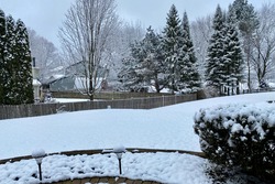 Scenic backyard view in a snowy winter