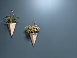 Hanging triangle shape pot with plants on a blue background wall. Home decorative plants