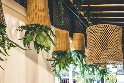 Potted ferns in the bamboo weaved baskets or planters hanging upside down