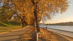 autumn landscape in the city, beautiful view on the streets. Romantic mood, relaxation and admiring. Bright autumn trees