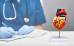 Anatomical model of human heart on doctor table in a cardiology office. In the background, a cardiologist wearing a medical coat writes a diagnosis to a patient