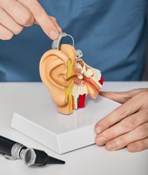 Doctor audiologist putting hearing aid on ear anatomical model. Treatment of deafness for hearing impaired with help of hearing aids