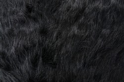 Long black fur of a bear or dog. Faux fur fabric. Artificial fur fabric texture, useful as background