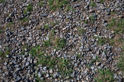 Dirt road fragment or Dry land with stones and grass. Stones and pebbles on the ground.