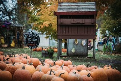  #pumpkin #halloween #fall #autumn #october #pumpkinspice #pumpkins #falldecor #jackolantern #spooky #cozy #pumpkinpatch #q #trickortreat #happyhalloween #witch #handmade #love #autumnvibes 