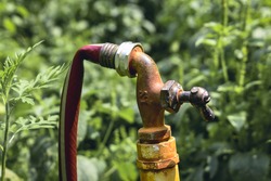 A old water spigot with a broken handle with a red garden hose attached to it- a kink in a old water hose that is attached to an old garden faucet- An outside water spigot- a broken well water spigot