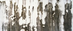 Texture of old gray concrete wall for background. Rust​ damaged​ to​ surface​ wall​ concrete​ for​ background​. Rough texture on gray wall rough form due to peeling paint layer due to rain.	