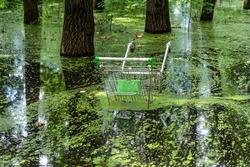 the discarded shopping cart is visible from the forest lake. environmental pollution.