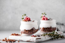 homemade chocolate granola with yoghurt and fresh berries, close-up