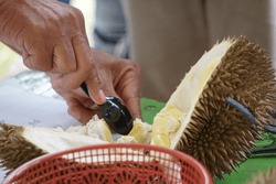 Durian, the king of fruit. Durian is one of the exotic fruit from East Asia. This fruit has a strong aroma, 