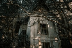 Old abandoned stone house in the jungle. Concrete gloomy abandoned house. Green trees. Dark jungle.