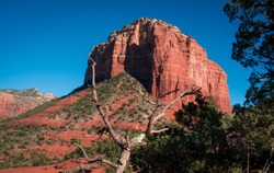 Landscape shot of peaceful red Bell Rock Butte behind dead tree in Sedona Arizona. No people. Afternoon daylight with contrast of red sandstone and blue sky. Copyspace-