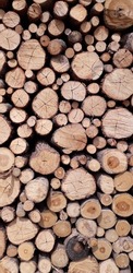 lumber wood log texture background