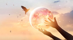 Woman touching planet earth of energy consumption of humanity at night, and free bird enjoying nature on sunset background, hope concept, Elements of this image furnished by NASA 