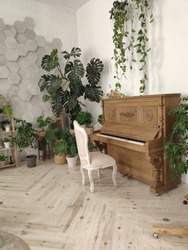 the piano in the room. interior with flowers and piano