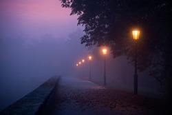 Empty footpath in morning mist with colored sky visible