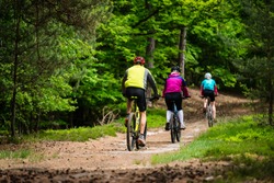 Group of cyclists on the forest trail - family trip on bikes in lush green nature