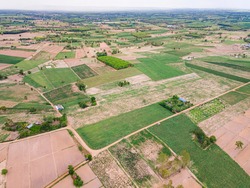 Aerial view of farmlands. Aerial high angle view of the green rice field in countryside Thailand.