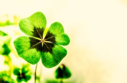 Four Leaf Clover with free space for text