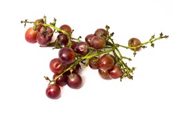 Rotten red grapes isolated on white background