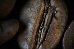 Closeup shot of coffee bean. background, texture