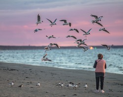 Jurmala, Latvia. Woman feeding birds. sky birds flying. nature birds flying. nature sea