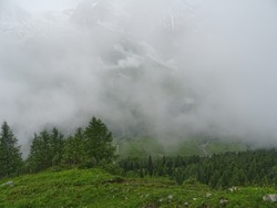 View of the forest from the mountain. Fog. Alps