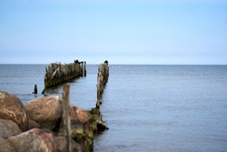 Battered wooden piles of the old pier in the Baltic Sea, leaving the horizon