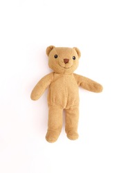 toy teddy bear isolated on white background