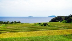 Terraced rice fields  and the beautiful scenery of Japanese sea