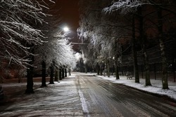Fresh winter snow in night