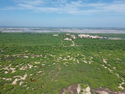 drone shot aerial view top angle bright sunny day beautiful scenery natural river bed dried lagoon alluvial soil forest trees Mars coastal area bushes mangrove red sand Tuticorin india tourism 