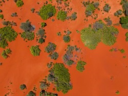 sharp drone photo aerial view top angle bright sunny day beautiful natural scenery india tamilnadu red sand desert vacant land beach with green lush trees empty space tourism reserved forest