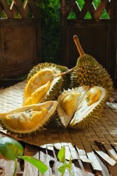 Durian Udang merah  with unbelievable taste. Available in Malaysia. The durian is the fruit of several tree species belonging to the genus Durio. 