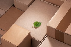 Fresh green leaf laying between cardboard boxes. Shipping deliveries, global trade and environmental impact.