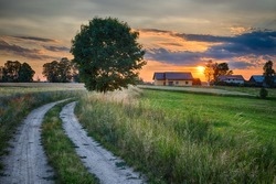 Summer landscape with country road and fields of wheat. Masuria, Poland. HDR image
