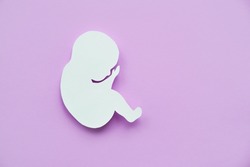 Paper silhouette of a human embryo on a lilac background. Flat lay, place for text.