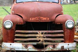 Front view of hood grill and bumper of rusted red truck in field with dead flower