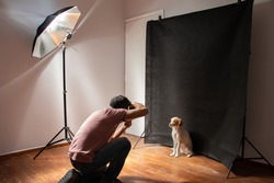 Dog photoshooting at the studio with all necessary equipment