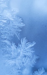 Fairy-like sparkling winter background (slightly blurred frostwork on a window glass)
