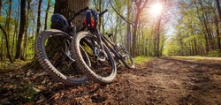 Two mountain bikes leaned on a tree next to a beautiful green forest trail with sun shining through the trees. Mountain biking concept.