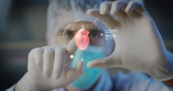 A physician, surgeon, examines a technological digital holographic plate represented the patient's body, the heart lungs, muscles, bones. Concept: Futuristic medicine, world assistance, and the future