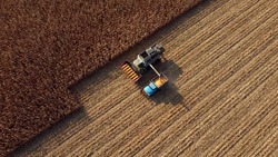 Harvester pours corn after harvesting on field into back of truck. Aerial Drone View Flight. Harvester Machines Working in Cornfield. Top view. Harvesting, Agrarian and Agricultural Works, Farming