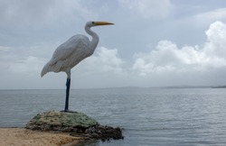 Statue of a heron on the side of Maricá's Lake, Rio de Janeiro