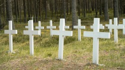 White wooden crosses in the forest grave yard. Unnamed graves of soliders who died in II WW. Pine forest around the old cemetary. White croesses lined up. Old crosses memorating sunk war ship