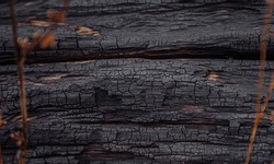 Smoked burned wood texture. Selective focus black charcoal background. Dark charcoal texture. 