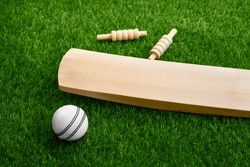 cricket bat ball stumps and bails placed on green grass cricket pitch background